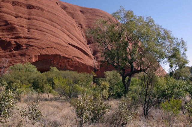 Uluru Base Walk (16) VB.JPG