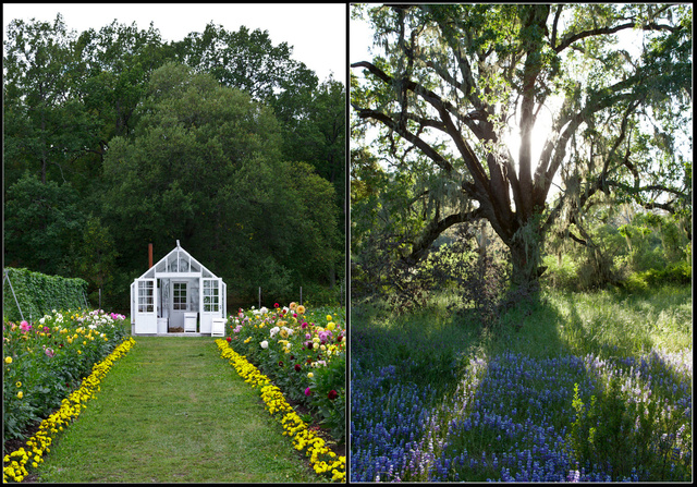 Screen Shot 2012-02-21 at 3.44.06 AM.png