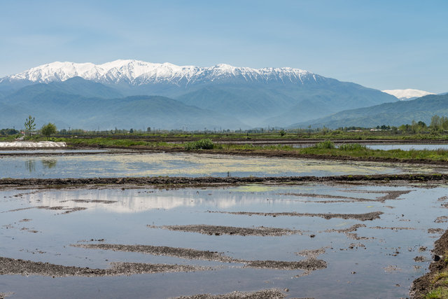 Alborz Mountains