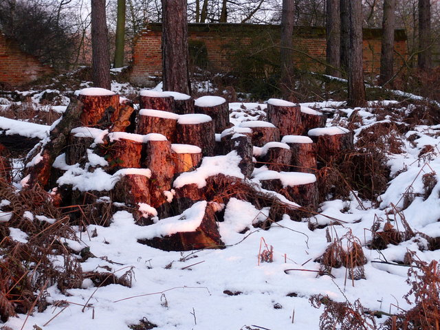 Brockett Hall in the snow (17) VB.JPG