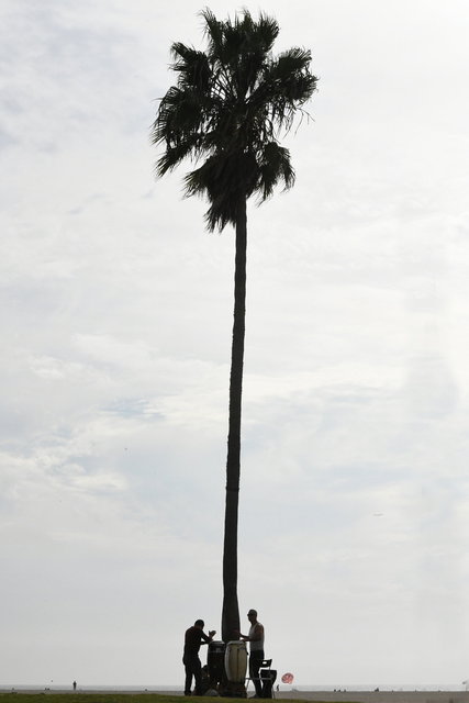 Venice Beach Vibe