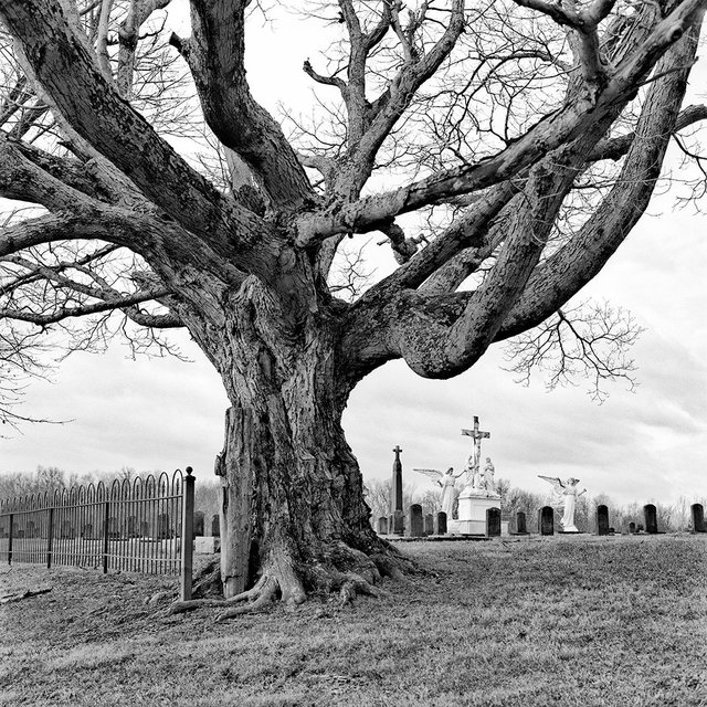 Loretto Motherhouse, Nerinx, KY