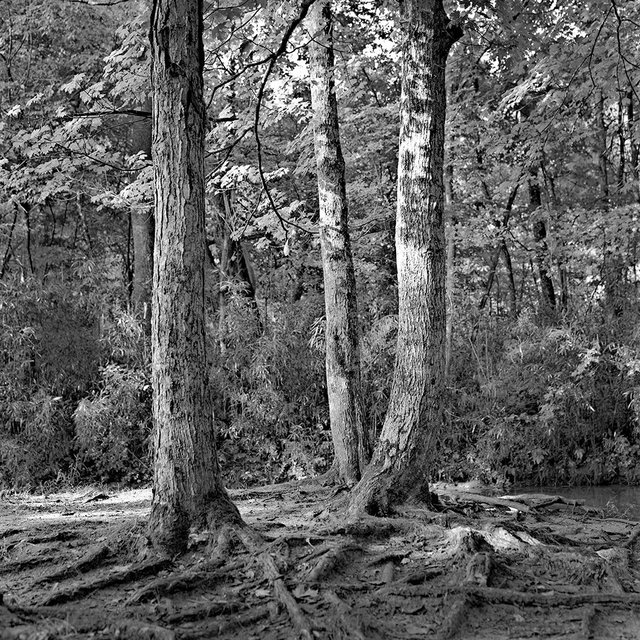 Cane Run Baptizing Area, Cub Run, KY