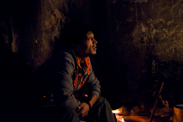 a young afghan in front of the fire