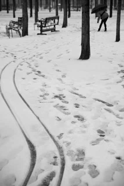 stroller tracks