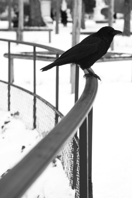 jack III
