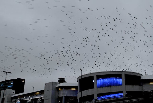 Arlanda Airport, Sweden