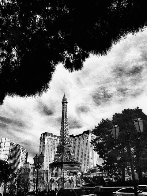 IMG_3507 BW.jpg