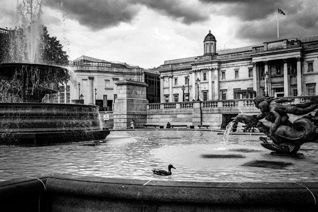 Trafalgar Square