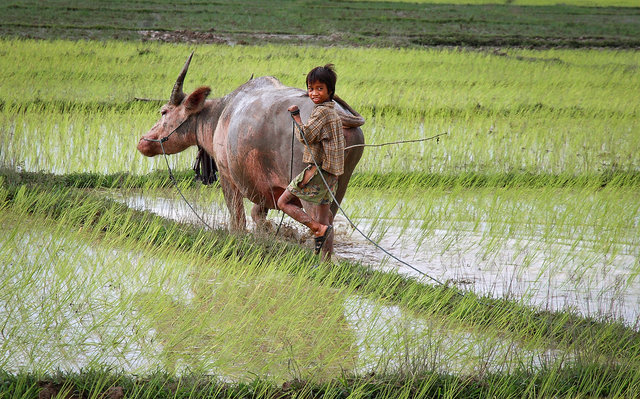 Ratanakiri, Eastern Cambodia