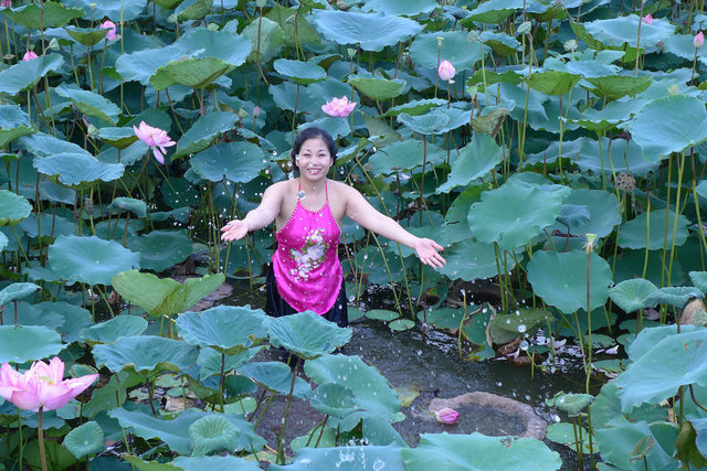 lotus girl, hanoi