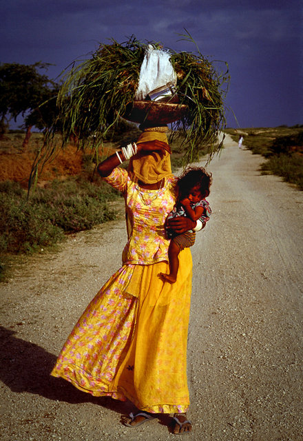 Rajastan, India