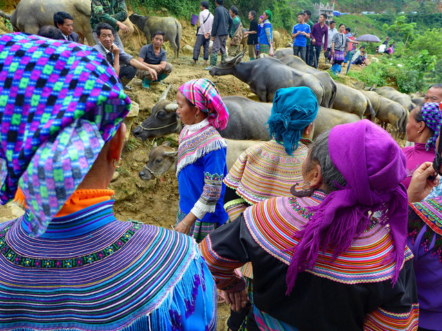 Flower Hmong people, northern Vietnam