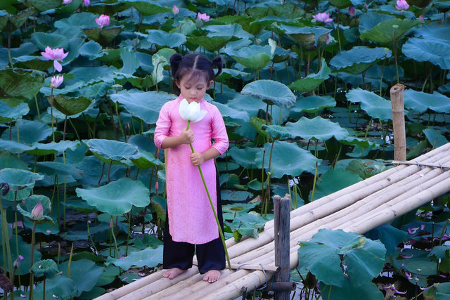 Hanoi 