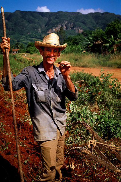 Vinnales, Cuba