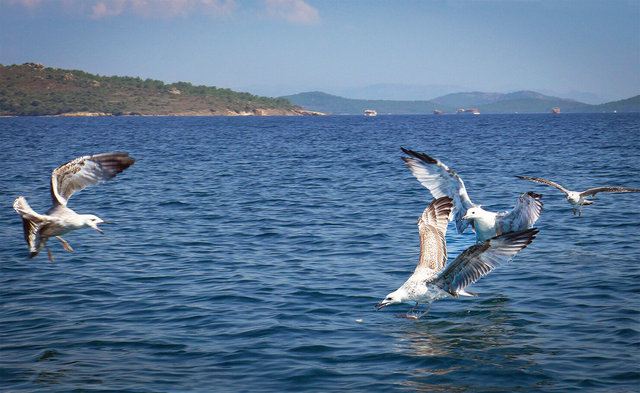 Ayvalik, Turkey