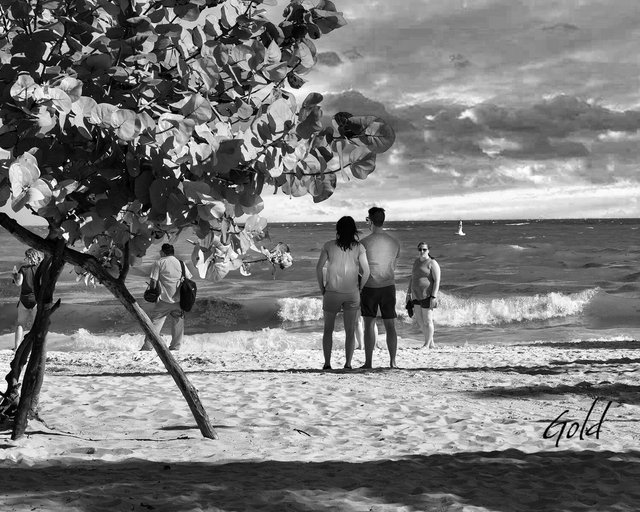 _1018342+Sepia.jpg