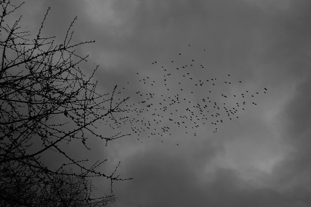 North Circular Road_017.jpg