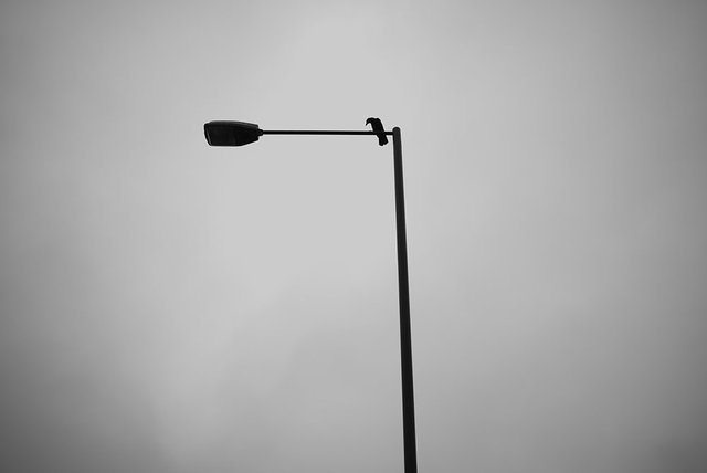 A406 North Circular Road