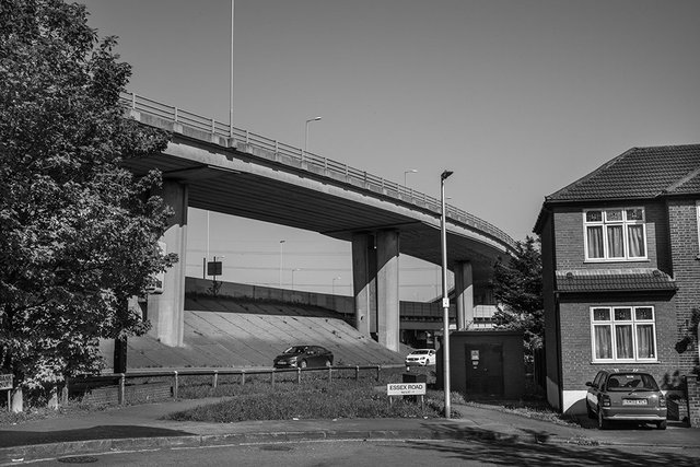 B1003624.jpg
