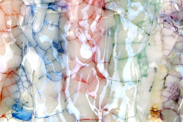 1_Kodai Ujiie_closeup.jpg