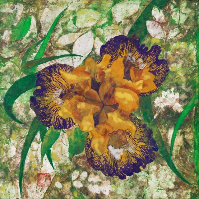 Yellow Iris Purity