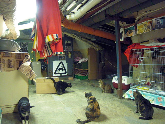 DSCN5661.JPG
