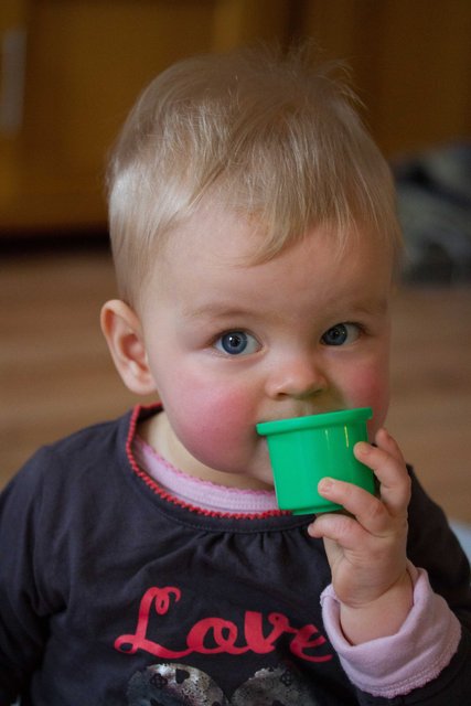 Fenna 22dec12-18.jpg