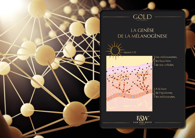 <font color="#aaa7a6">Gold : nouvelle gamme (7/20).</font>