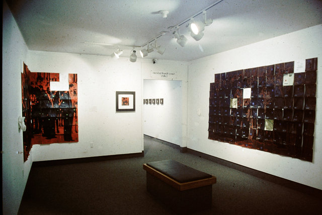 Cultural Landscape Installation view
