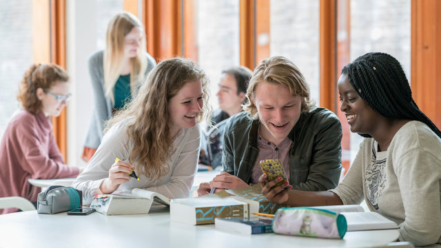 opdrachtgever: Rijks Universiteit Groningen