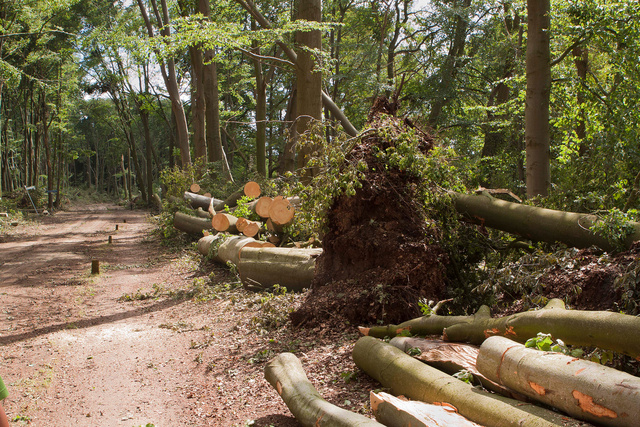 Stormschade 2010