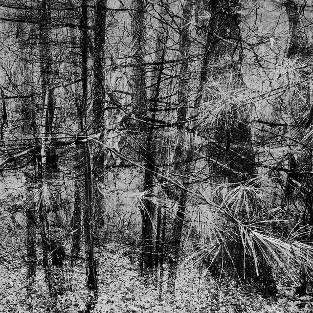 Lost
