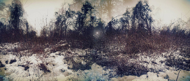 Once Upon A Winter Time. Jamaica Bay Park, Queens