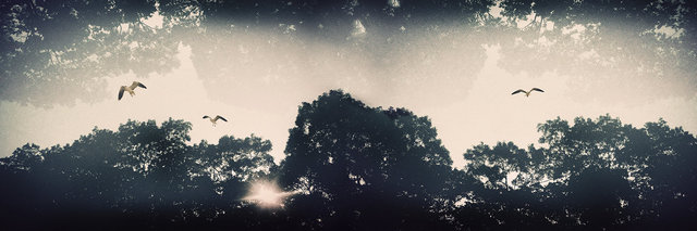 Secrets Of Light And Shadow. Sag Harbor, NY
