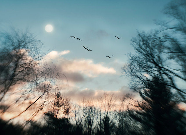 Dream Of Surrender