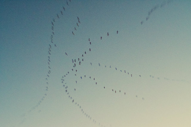 Beautiful Strangers