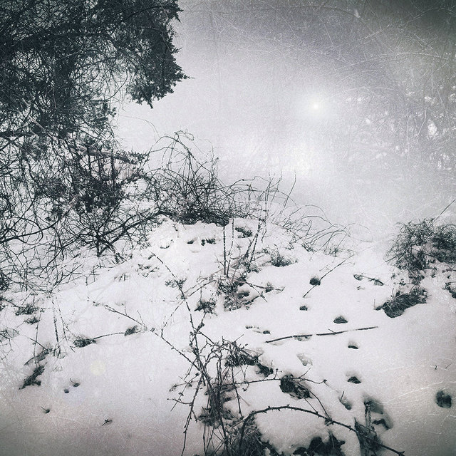 Fragments Of Wholeness