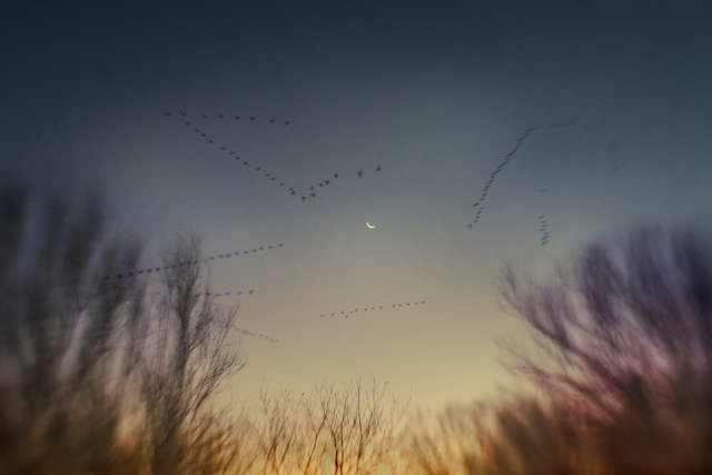 The One Directional Arrow Of Time