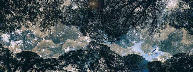 Waves Of Wonder. Jardim do Torel, Lisbon