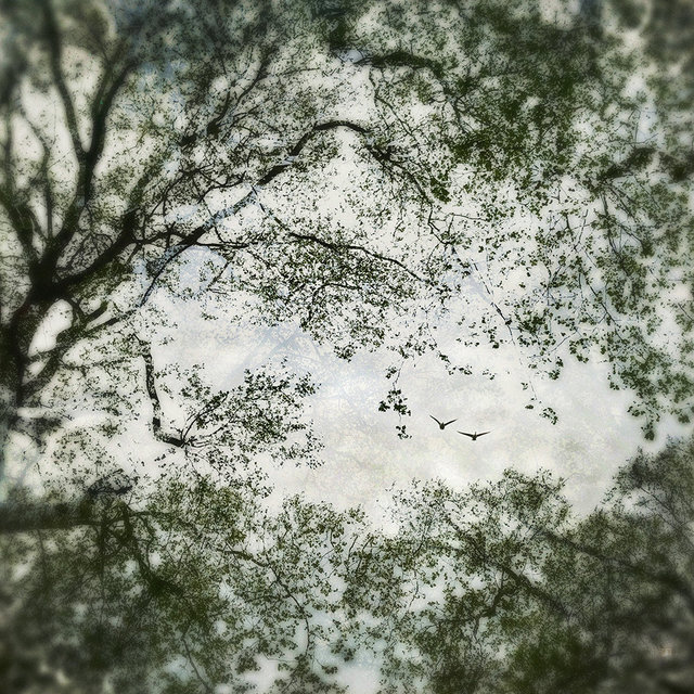 Late Summer