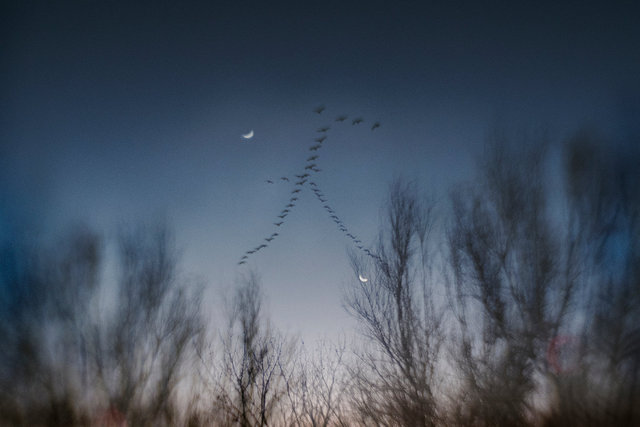 Distancing