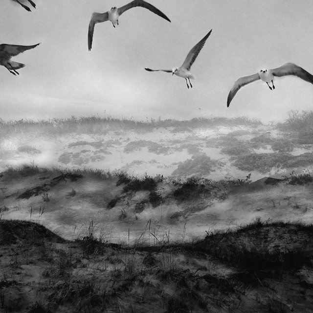 Echoes Of Transfigurations