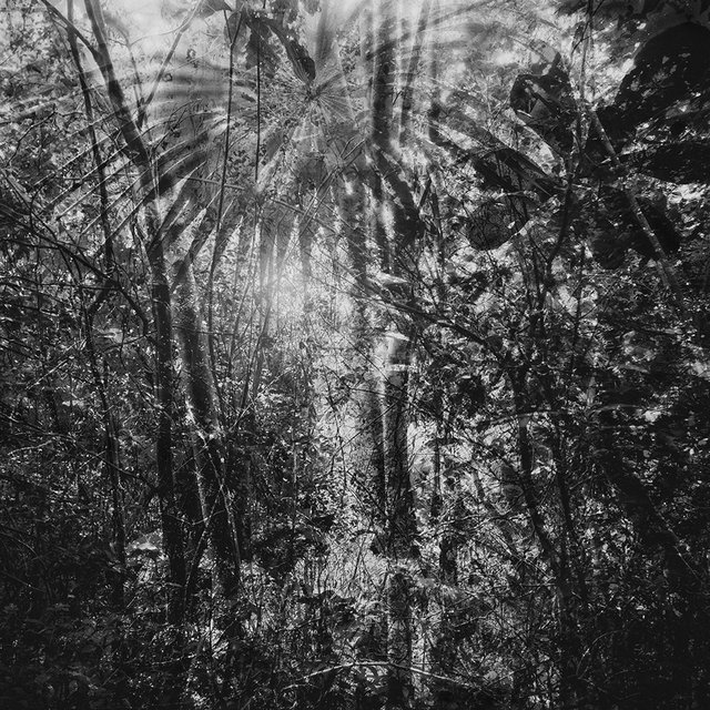 Tremors Of Light
