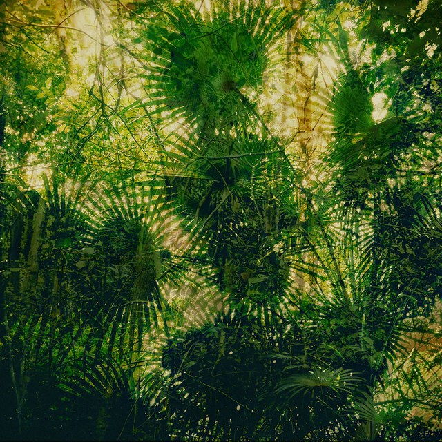 Curtain Of Dreams