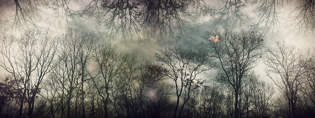 When All This Fades Away. Forest Park, Queens