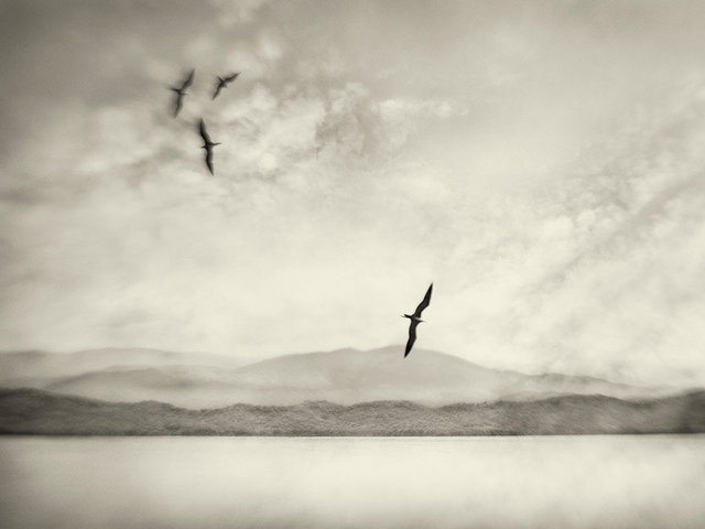 Wings Of Change