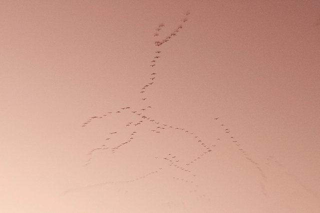 Symbols