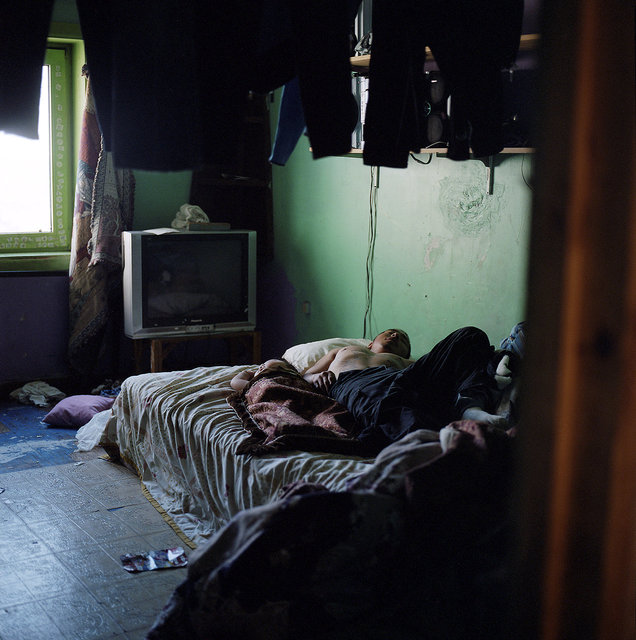 Nick and Brandy napping, 2010