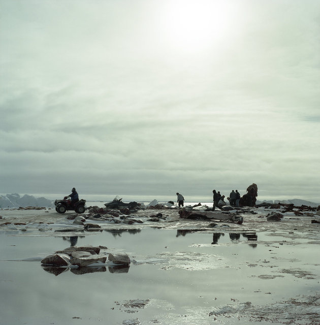 melting ice, 2012